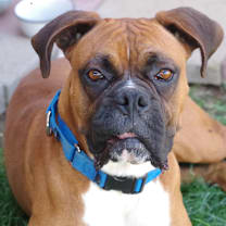 Thumbnail photo of MAX #3