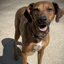 Thumbnail photo of Momma Bell #2