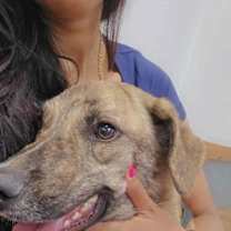 Thumbnail photo of Glen (TX) #3