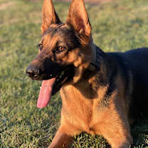 Thumbnail photo of Doc #1