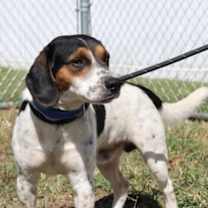 Thumbnail photo of Kasey #1