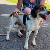 Thumbnail photo of Kasey #3