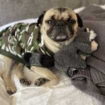 Thumbnail photo of Ralph #3