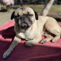 Thumbnail photo of Ralph #4