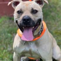 Thumbnail photo of Hiro #1