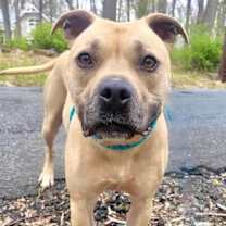 Thumbnail photo of Hiro #2