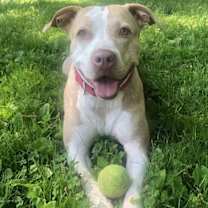 Thumbnail photo of Penny #4