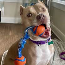 Thumbnail photo of Barney #1