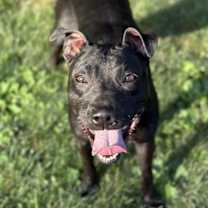 Thumbnail photo of Sammy #2