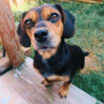 Thumbnail photo of Margaret #1