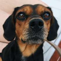 Thumbnail photo of Margaret #3