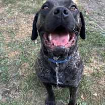 Thumbnail photo of Frankie #3