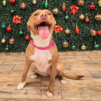 Thumbnail photo of CARLY #1