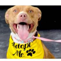 Thumbnail photo of CARLY #2