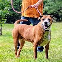 Thumbnail photo of Hank #4