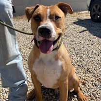 Thumbnail photo of BRODY #2