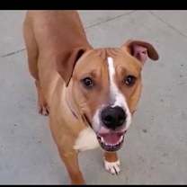 Thumbnail photo of BRODY #4