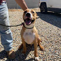 Thumbnail photo of BRODY #3