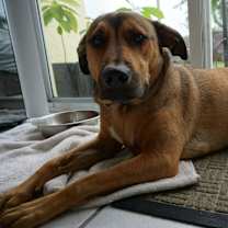 Thumbnail photo of Remi #2