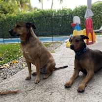 Thumbnail photo of Remi #4