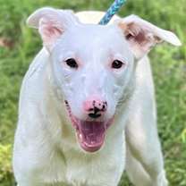 Thumbnail photo of Molly #4