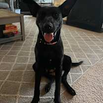 Thumbnail photo of Lucy #2