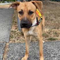 Thumbnail photo of Bussin #1