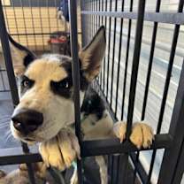 Thumbnail photo of Frack #3