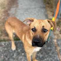 Thumbnail photo of Bussin #2