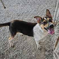 Thumbnail photo of River B #1