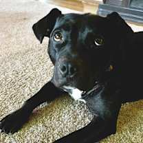 Thumbnail photo of Eve #1