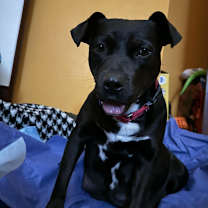 Thumbnail photo of Eve #2