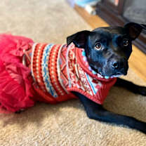 Thumbnail photo of Eve #4