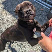 Thumbnail photo of Emma #2