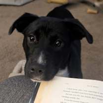 Thumbnail photo of Cheers #1