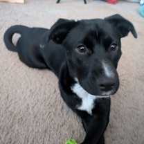 Thumbnail photo of Cheers #2