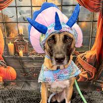 Thumbnail photo of Helgi #2