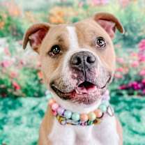 Thumbnail photo of Helen #1