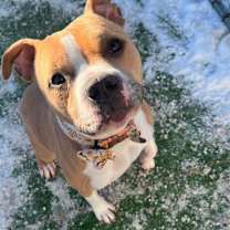 Thumbnail photo of Helen #4