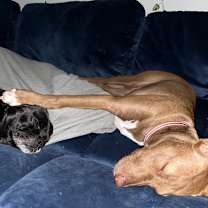 Thumbnail photo of Caroline #3