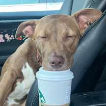 Thumbnail photo of Caroline #4