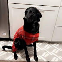 Thumbnail photo of BB #1