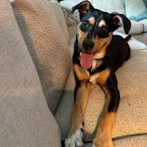 Thumbnail photo of Gunner #3