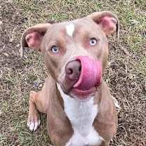 Thumbnail photo of Henry Gale #2