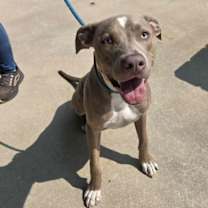 Thumbnail photo of Henry Gale #3