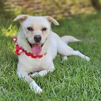 Thumbnail photo of Soonjin #3