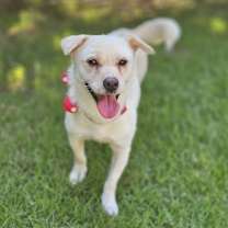 Thumbnail photo of Soonjin #4