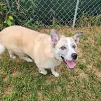 Thumbnail photo of Pretty Ricky #3