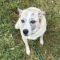 Thumbnail photo of Pretty Ricky #4