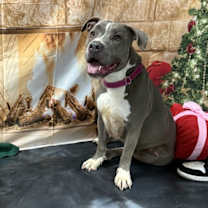 Thumbnail photo of Bay bay #1